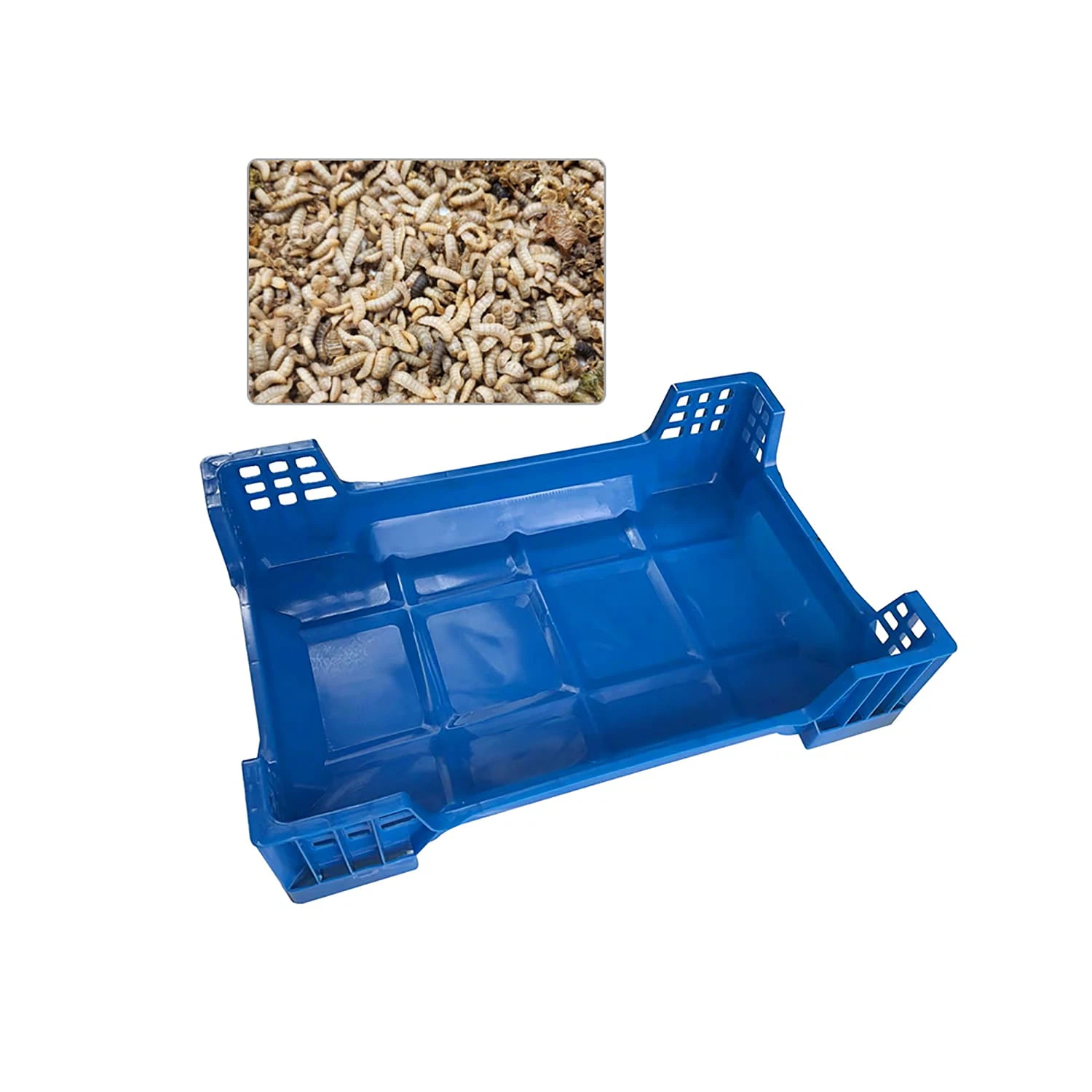 info-1500-1500 info-1500-1500